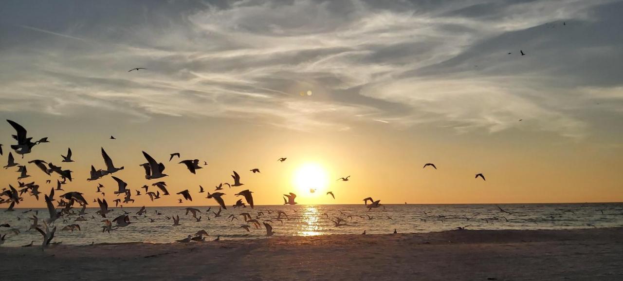 Sunset Vistas 206S Villa St. Pete Beach Eksteriør bilde